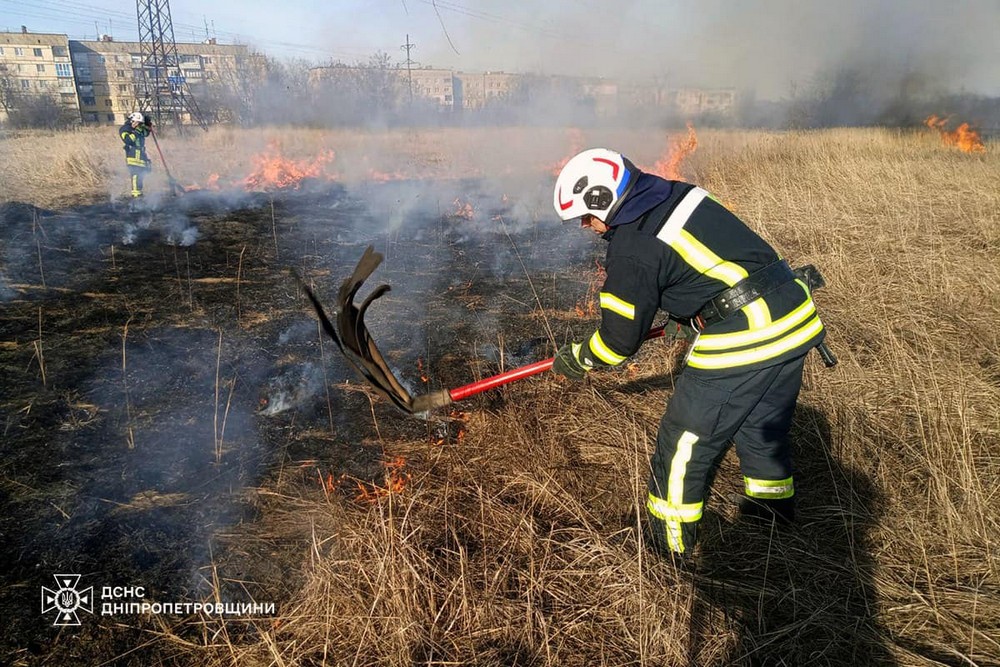 На Дніпропетровщині 20 осіб притягнули до відповідальності за спричинення пожеж в екосистемах