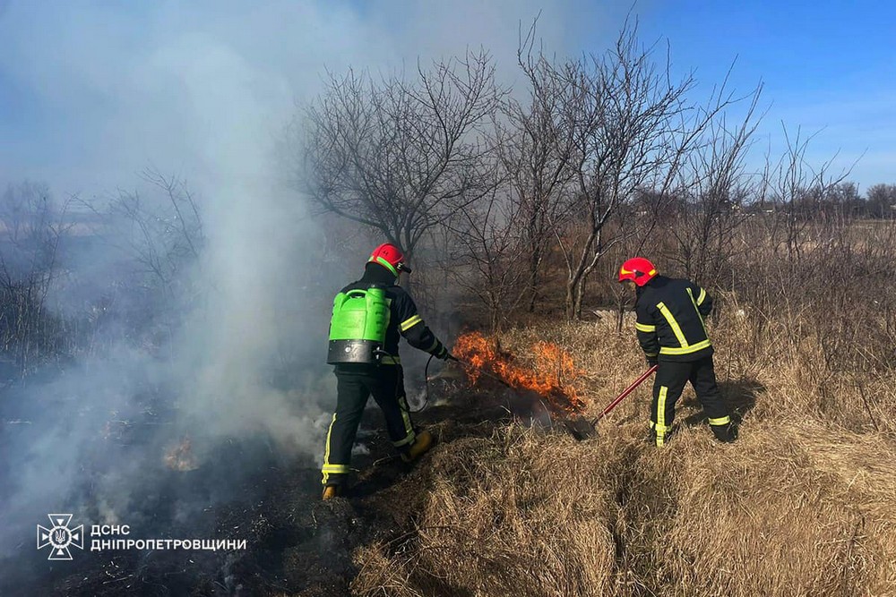 На Дніпропетровщині 20 осіб притягнули до відповідальності за спричинення пожеж в екосистемах