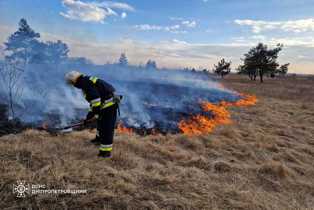 93 пожежі в екосистемах і 10 покараних паліїв трави: статистика на Дніпропетровщині за добу