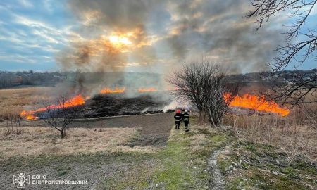 58 пожеж і 29 притягнутих до відповідальності паліїв за добу на Дніпропетровщині