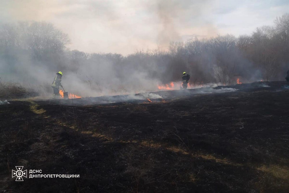 Бідолашний намагався втекти від вогню: на Дніпропетровщині ДСНС-ники врятували їжачка