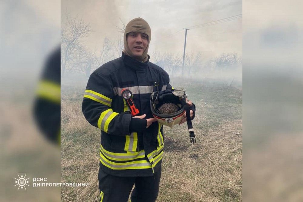 Бідолашний намагався втекти від вогню: на Дніпропетровщині ДСНС-ники врятували їжачка