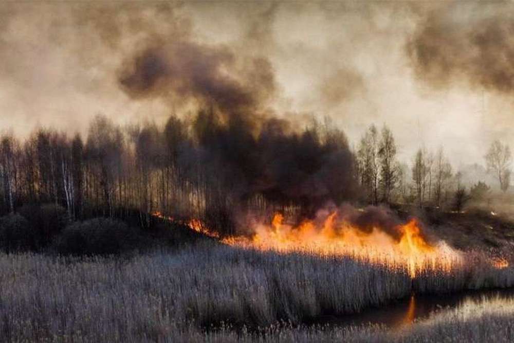 Мешканцям Червоногригорівської громади нагадали про заборону підпалу сухої трави
