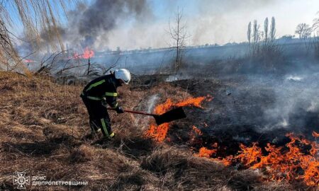 На Дніпропетровщині рятувальники продовжують ліквідовувати загоряння на відкритих територіях  (фото)