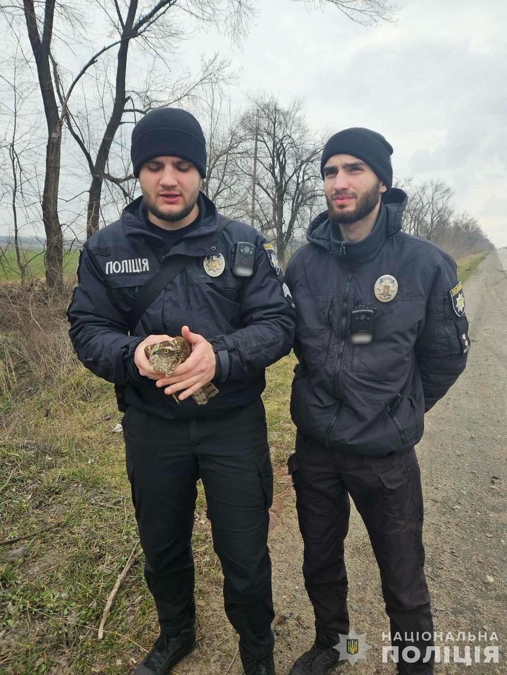 На Дніпропетровщині поліцейські врятували яструба зі зламаним крилом
