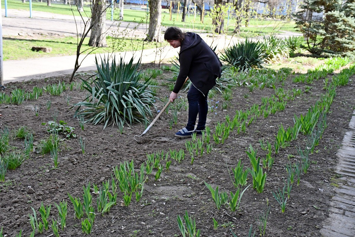 У Нікополі висадять 100 дерев і квіти на території освітніх закладів: роботи вже почалися (фото)