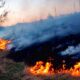 На Дніпропетровщині за добу ліквідували 50 пожеж в екосистемах: штрафи за підпал – до 6120 гривень
