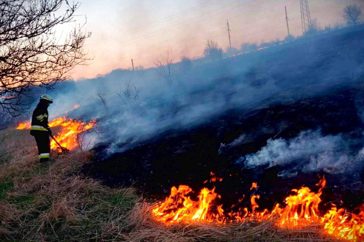 На Дніпропетровщині за добу ліквідували 50 пожеж в екосистемах: штрафи за підпал – до 6120 гривень