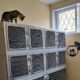 Нікопольський притулок для котів отримав карантинні бокси від БФ  UAnimals (фото)