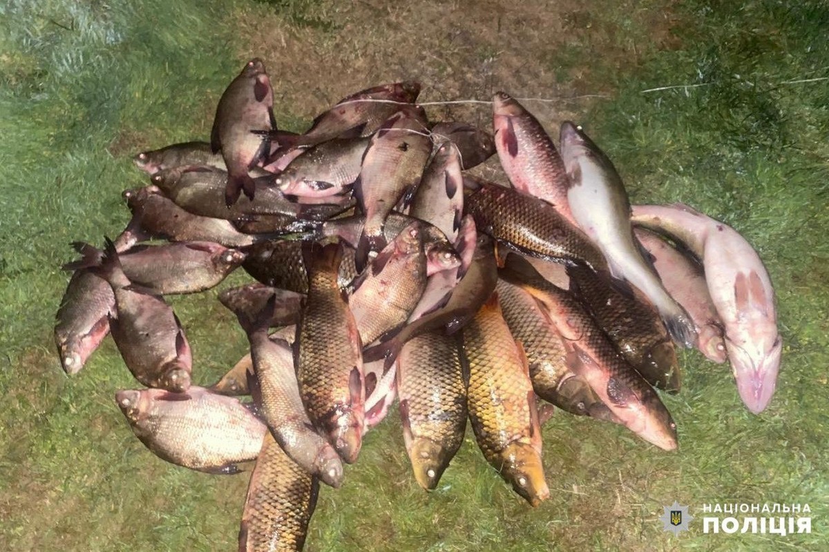 Наловили риби на понад 300 тисяч: у Нікопольському районі викрили браконьєрів