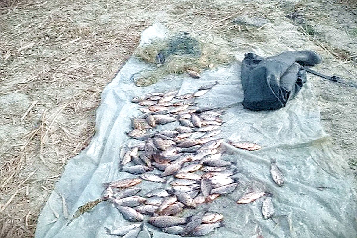 на Нікопольщині чоловік незаконно здійснював вилов риби