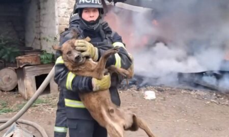 У Нікополі внаслідок обстрілу сталася пожежа на підприємстві - врятували песика (відео)