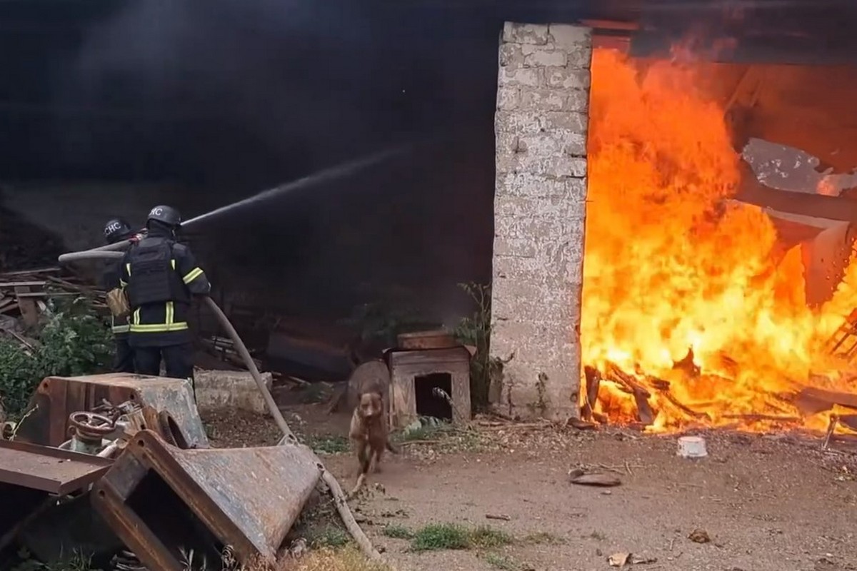 У Нікополі внаслідок обстрілу сталася пожежа на підприємстві - врятували песика (відео)