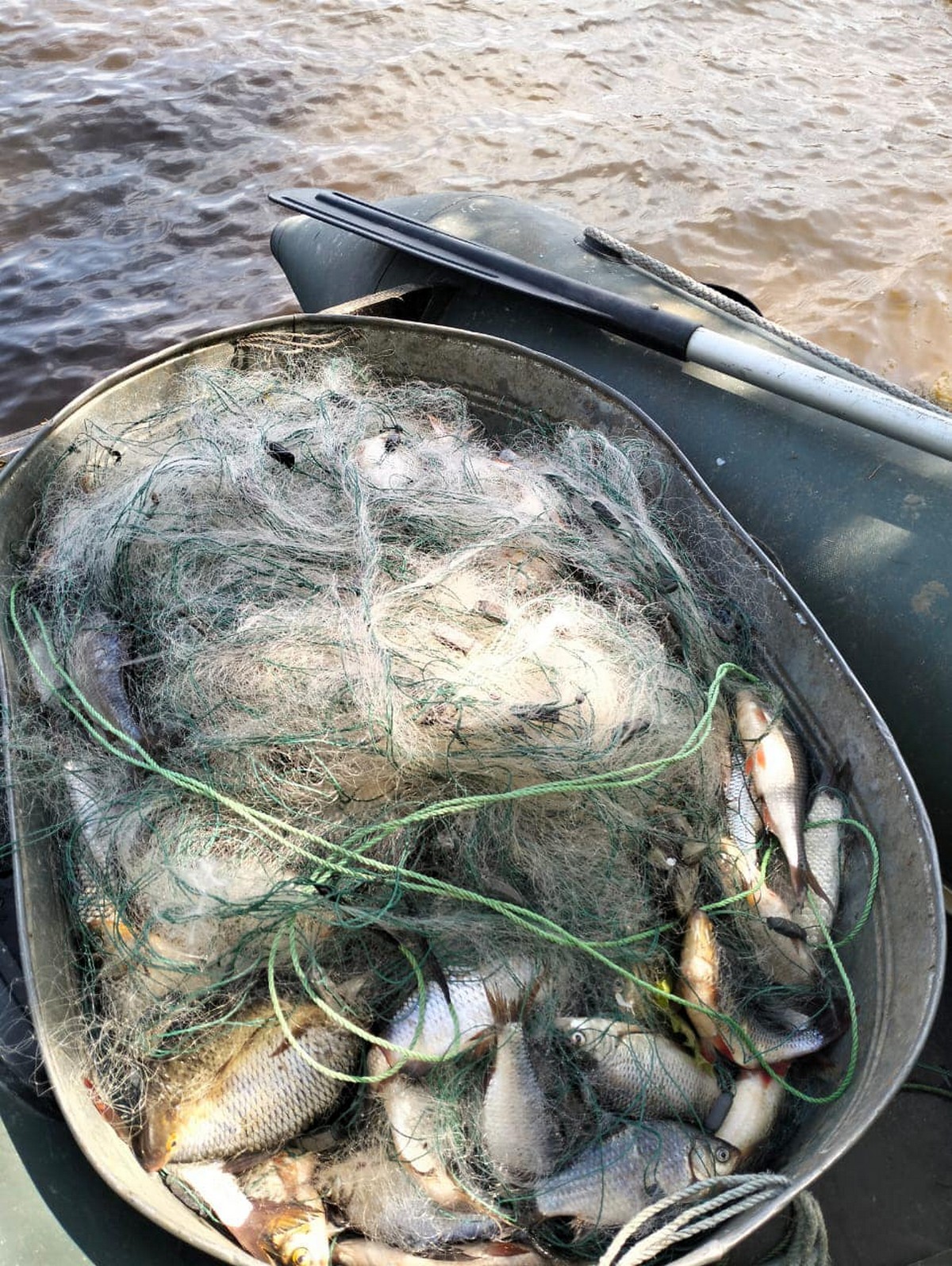 Спецоперація на Дніпропетровщині: виявили браконьєрів з 600 рибинами