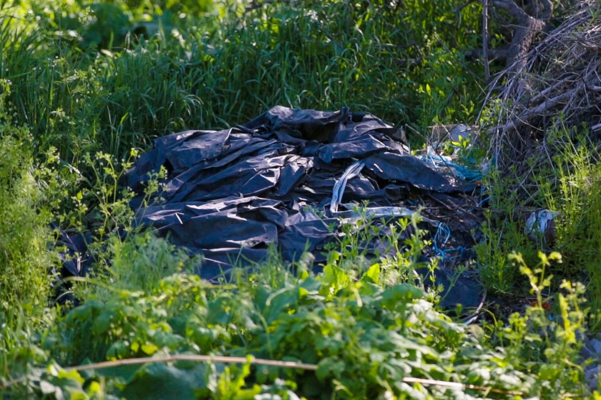 Фазани, лиси, черепахи: на Нікопольщині люди захаращують сміттям унікальну «Княжу балку»