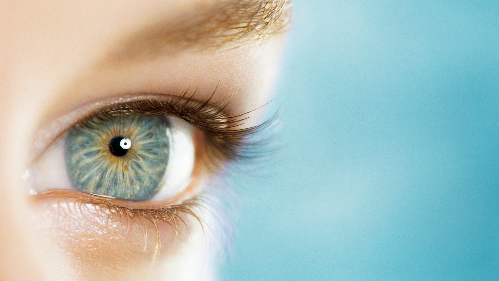 Close up of a woman blue eye on blue background