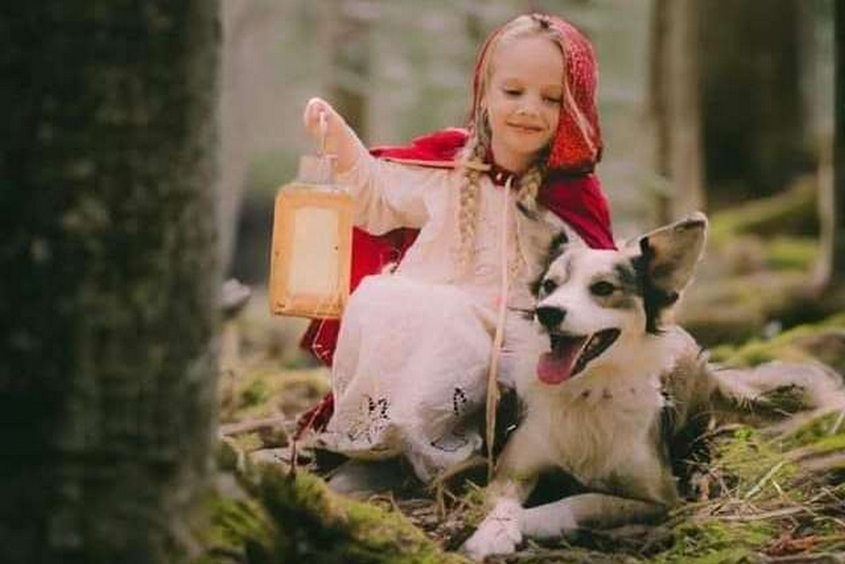 Песик Сєрік, якого у Нікополі хотіли отруїти, став фотомоделлю у Польщі (фото)