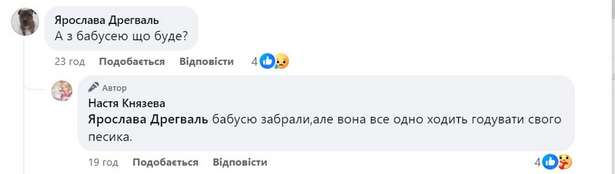 Після прильоту знищені хата і вольєр: у Нікополі шукають новий дім для вівчара