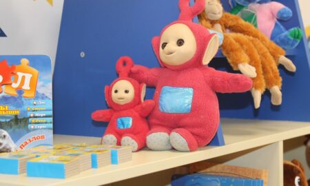 У Нікополі для нової терапевтичної кімнати оголосили збір м'яких іграшок: куди приносити
