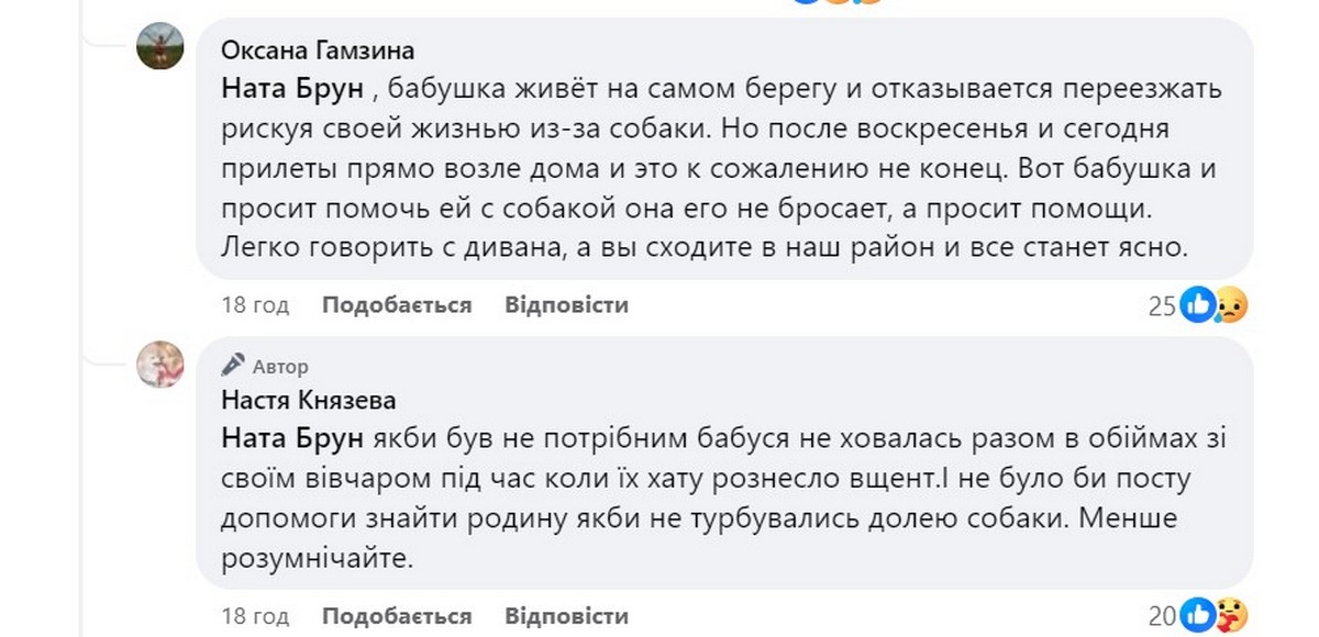 Після прильоту знищені хата і вольєр: у Нікополі шукають новий дім для вівчара