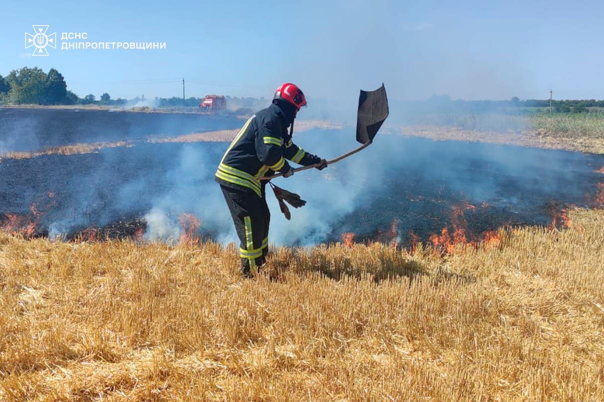У Нікополі через обстріл вигоріло 2 гектари сухої трави, всього в області виникло 36 пожеж в екосистемах
