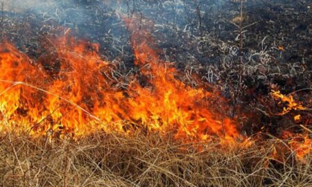 Працівник НЗФ намагався загасити суху траву на дачі біля Нікополя