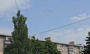 «Їх штук 40»: над центром Нікополя помітили зграю великих птахів (відео)