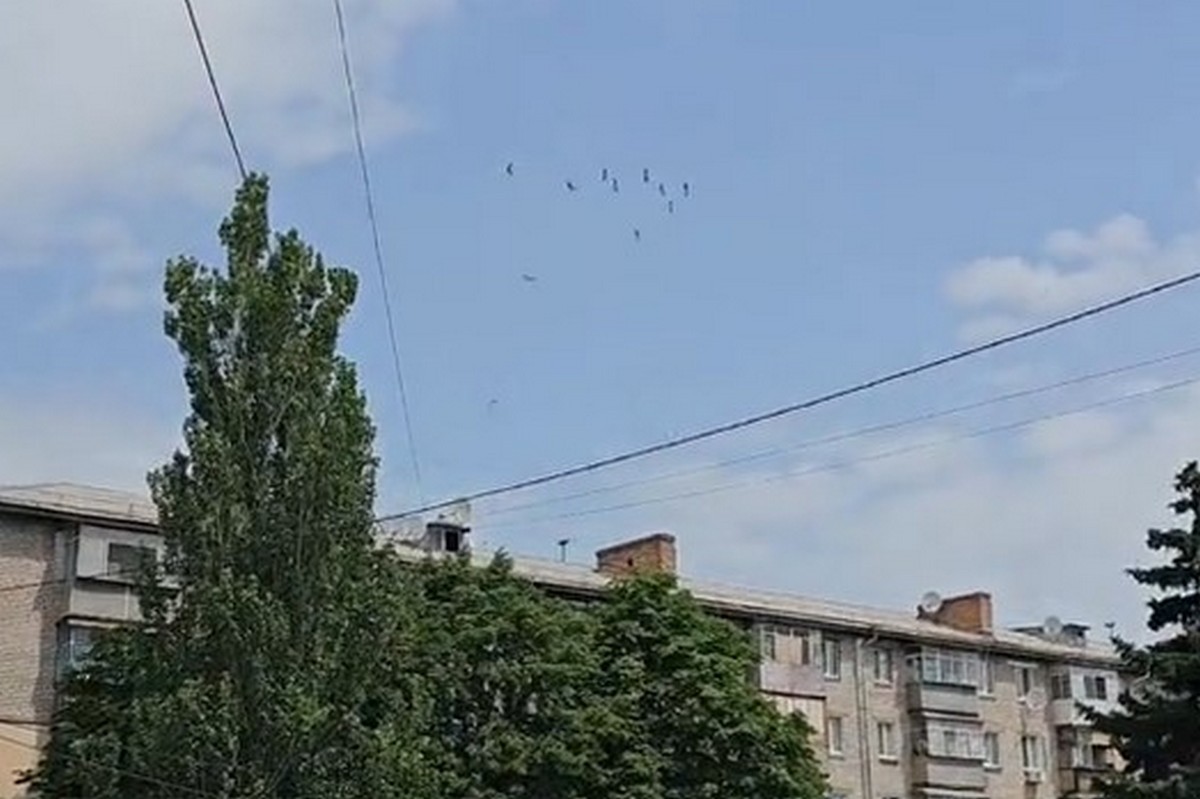 «Їх штук 40»: над центром Нікополя помітили зграю великих птахів (відео)
