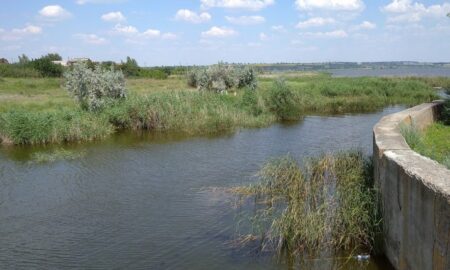 У водосховищі Марганця небезпечні бактерії: на Дніпропетровщині зростає кількість гострих кишкових інфекцій
