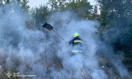 На Дніпропетровщині за добу вогонь знищив понад 70 га екосистем