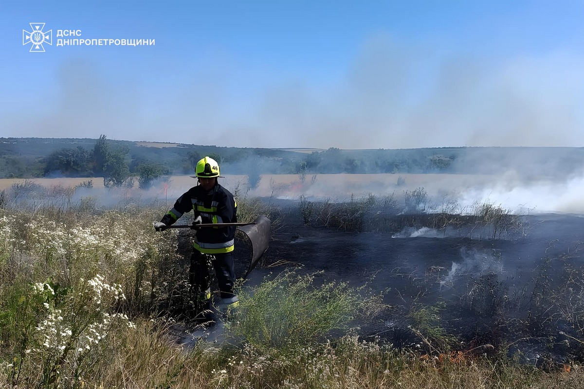 На Дніпропетровщині за добу вигоріло 32 га екосистем: фото