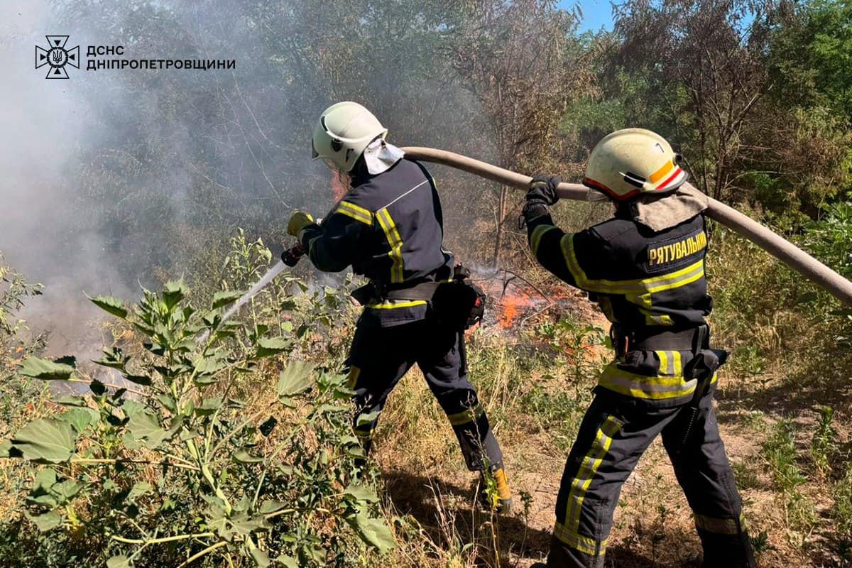 На Дніпропетровщині за добу вигоріло 86 га екосистем: фото