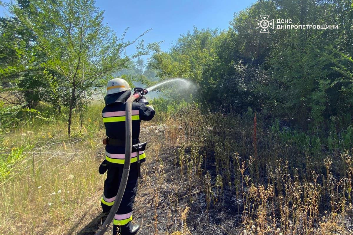 На Дніпропетровщині за добу вигоріло 67 га екосистем (фото)