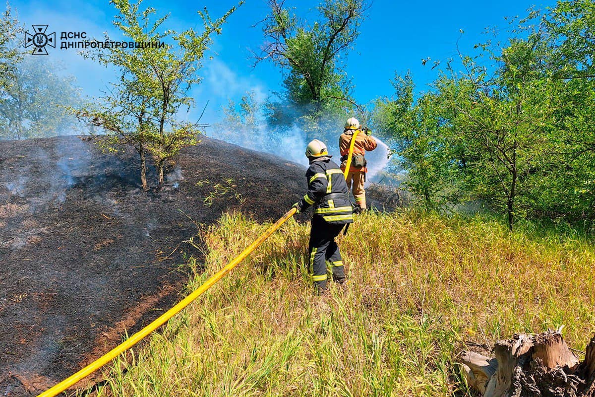 На Дніпропетровщині за добу вигоріло 86 га екосистем: фото