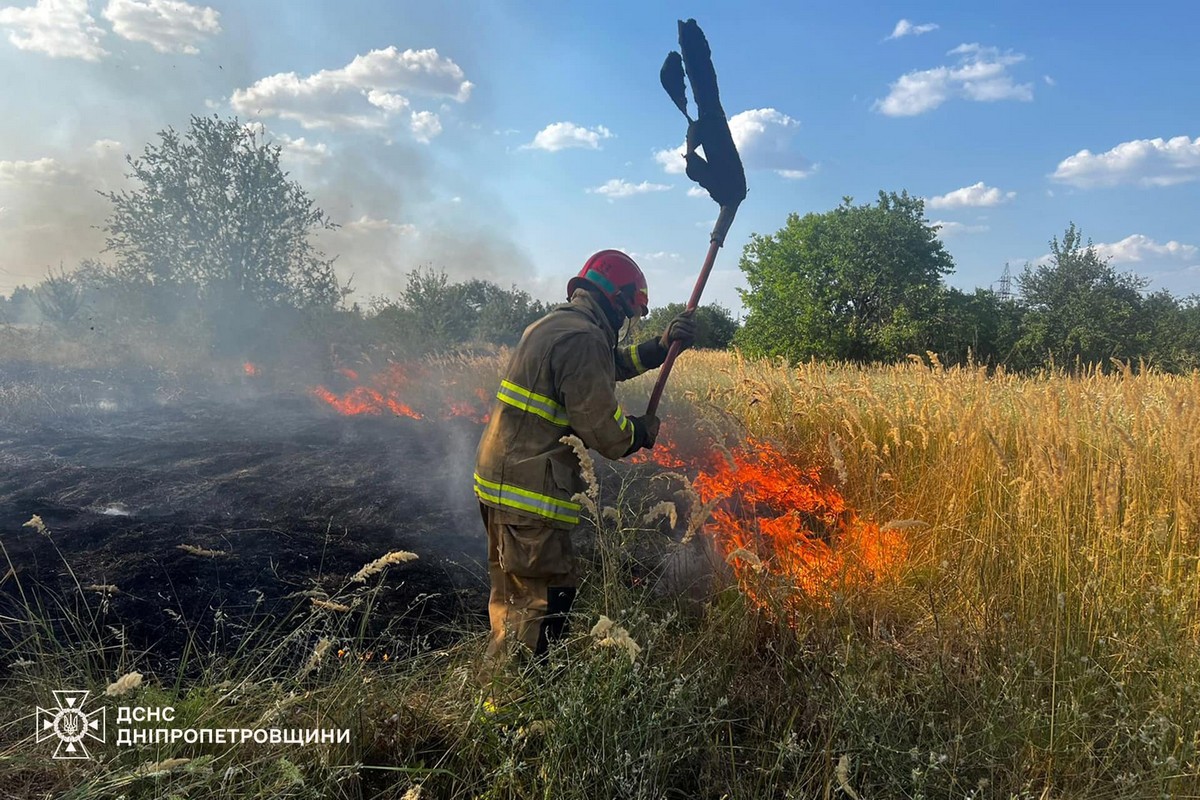 На Дніпропетровщині за добу вигоріло понад 78 гектарів екосистем