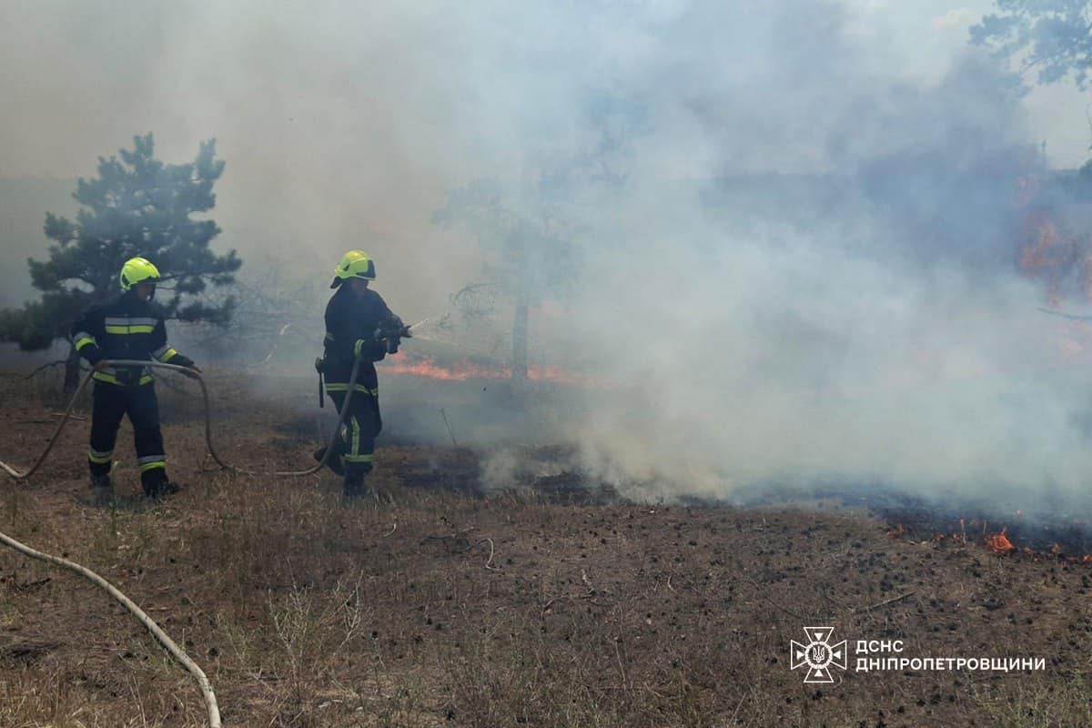 На Дніпропетровщині за добу вигоріло 67 га екосистем (фото)