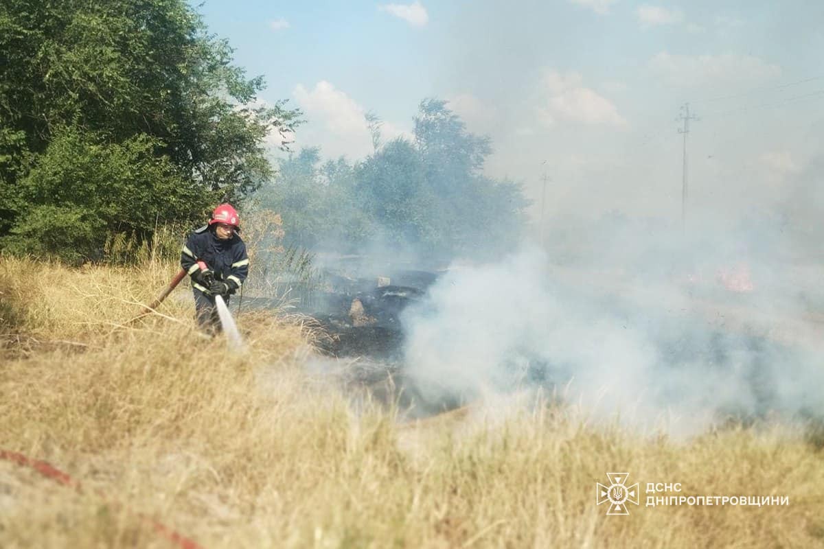 На Дніпропетровщині за добу вигоріло 67 га екосистем (фото)