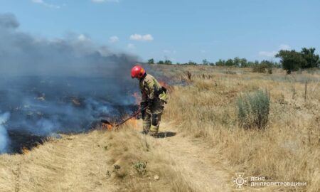 На Дніпропетровщині за добу вигоріло 67 га екосистем (фото)
