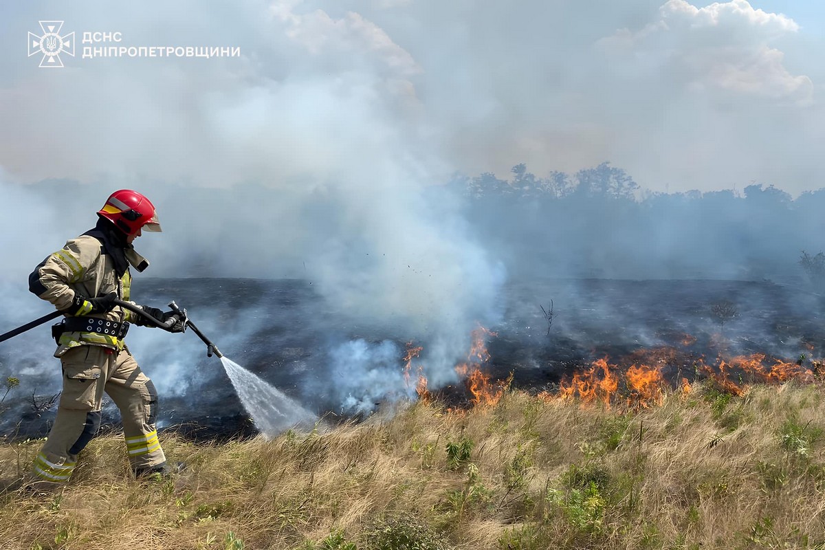 На Дніпропетровщині за добу вигоріло понад 78 гектарів екосистем