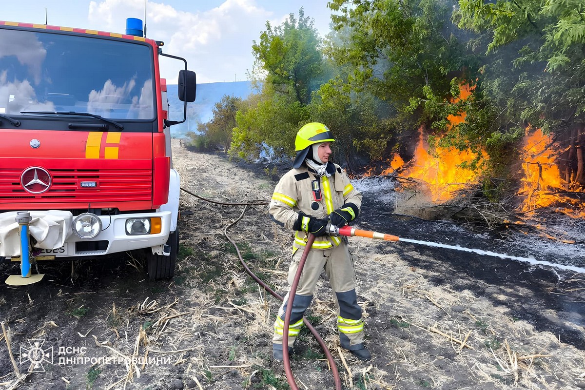 На Дніпропетровщині за добу вигоріло понад 78 гектарів екосистем