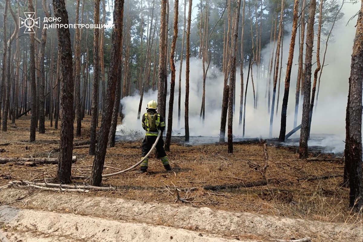 На Дніпропетровщині за добу вигоріло 72 га екосистем