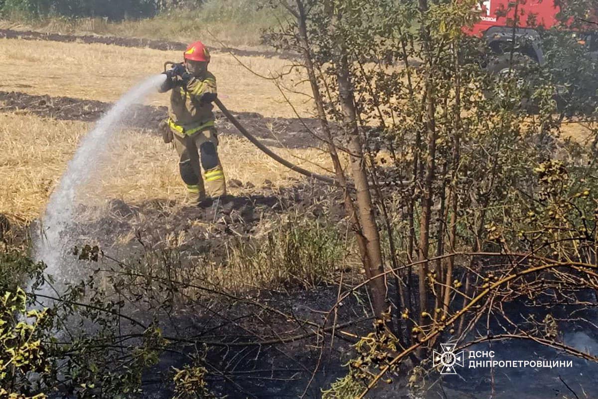 На Дніпропетровщині за добу вигоріло 68 га екосистем