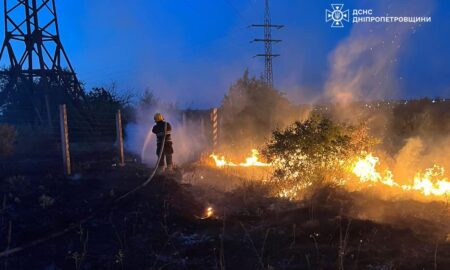 На Дніпропетровщині за добу вигоріло 68 га екосистем (фото)