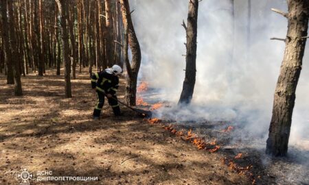 На Дніпропетровщині за добу вигоріло 72 га екосистем