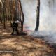 На Дніпропетровщині за добу вигоріло 72 га екосистем