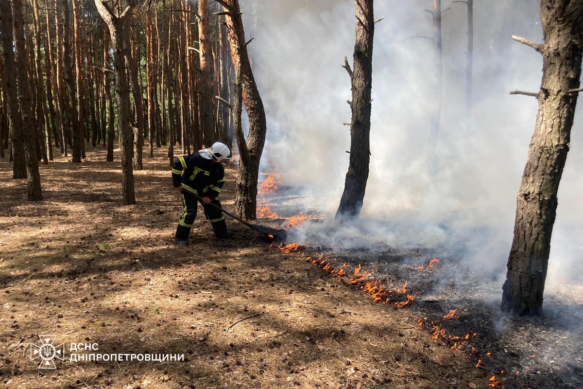 На Дніпропетровщині за добу вигоріло 72 га екосистем