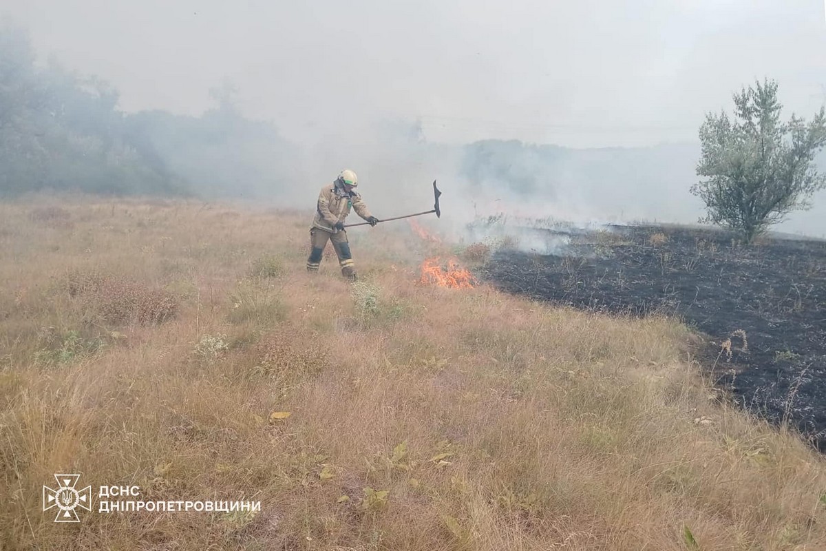 На Дніпропетровщині за добу вигоріло 72 га екосистем