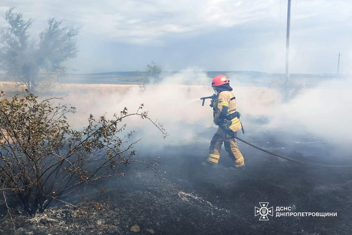 На Дніпропетровщині за добу сталося 77 пожеж в екосистемах