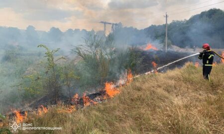 На Дніпропетровщині за добу вигоріло 50 га екосистем (фото)