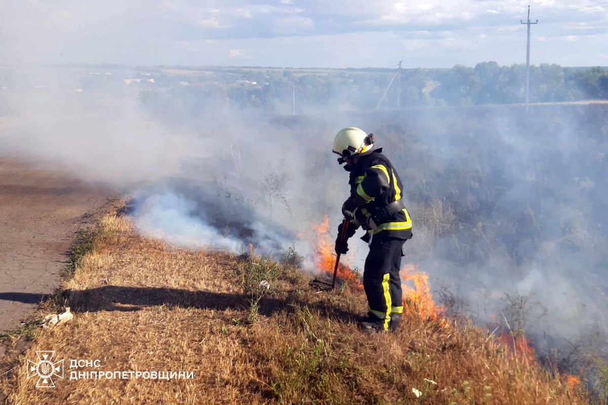 На Дніпропетровщині за добу вигоріло ще понад 48 гектарів екосистем (фото)